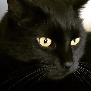 Meet your Posher, Mary